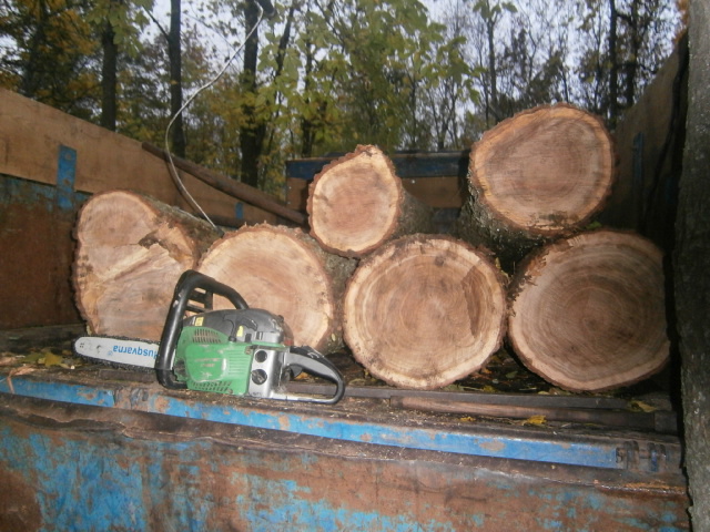 Жители Хмельниччини заробили "на дровах" позбавлення волі до трьох років - фото 1